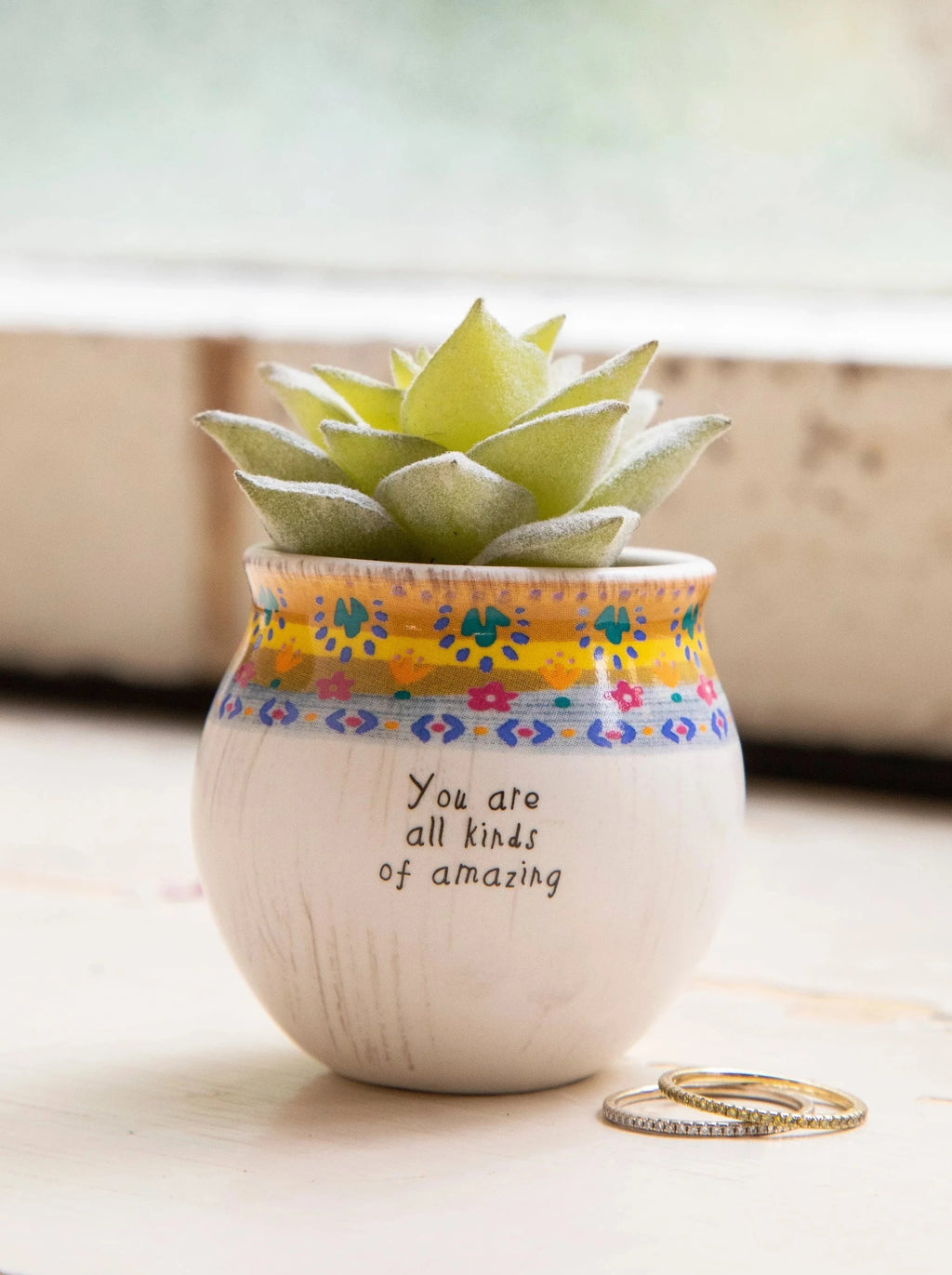 natural life succulent Natural Life Amazing Succulent – Rhinestones and Roses