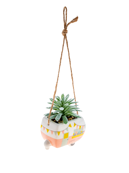 Happy Camper Succulent Happy Camper Succulent