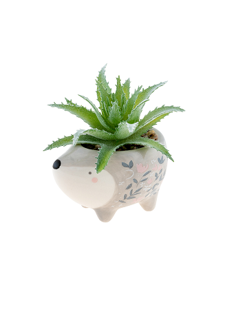Hedgehog Succulent – Rhinestones and Roses