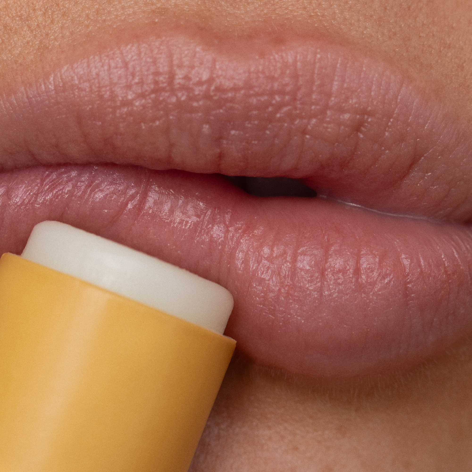 Lip Balm Lemon Bloom