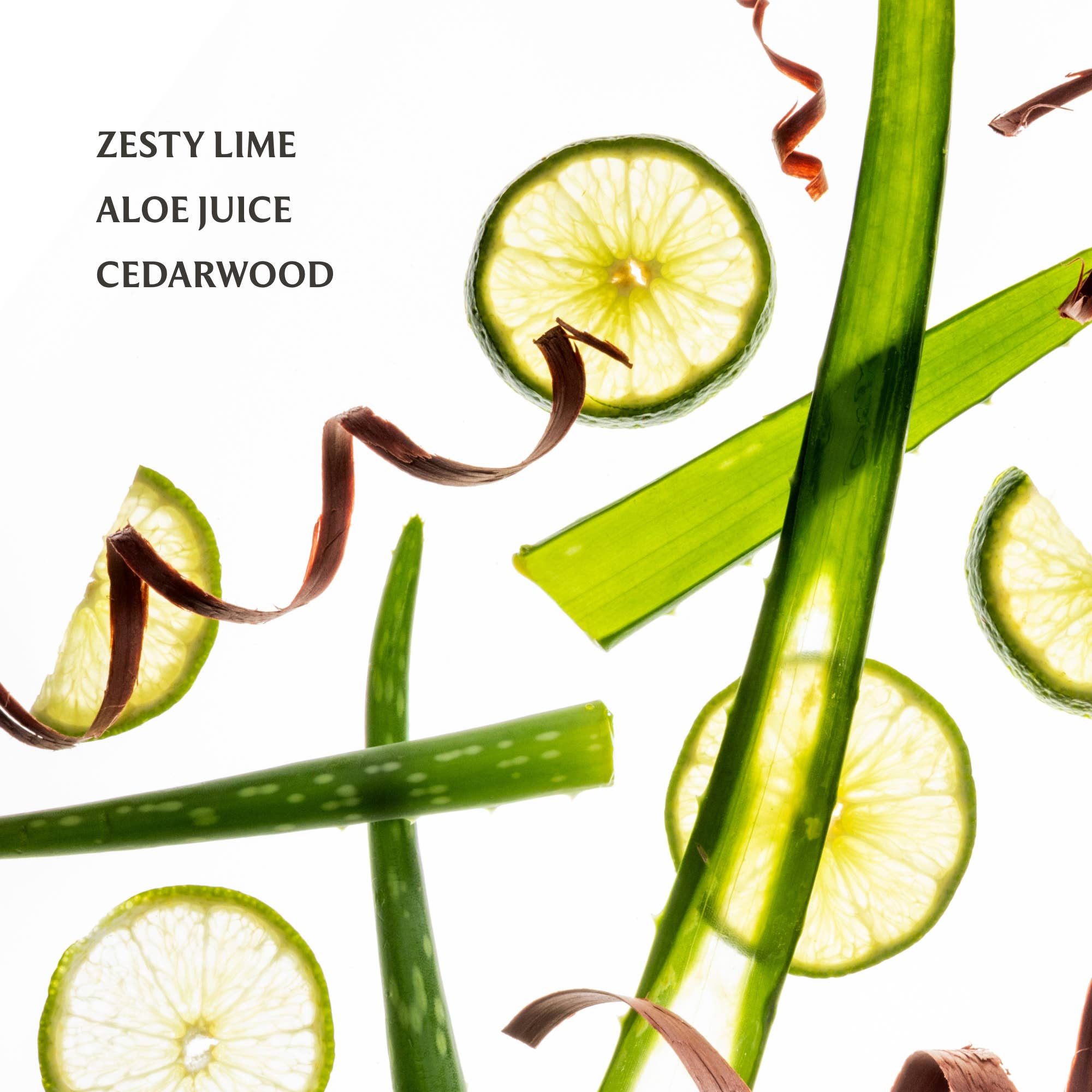 Aloe Hand Sanitizer