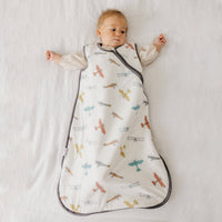 Airplanes Sleep Bag