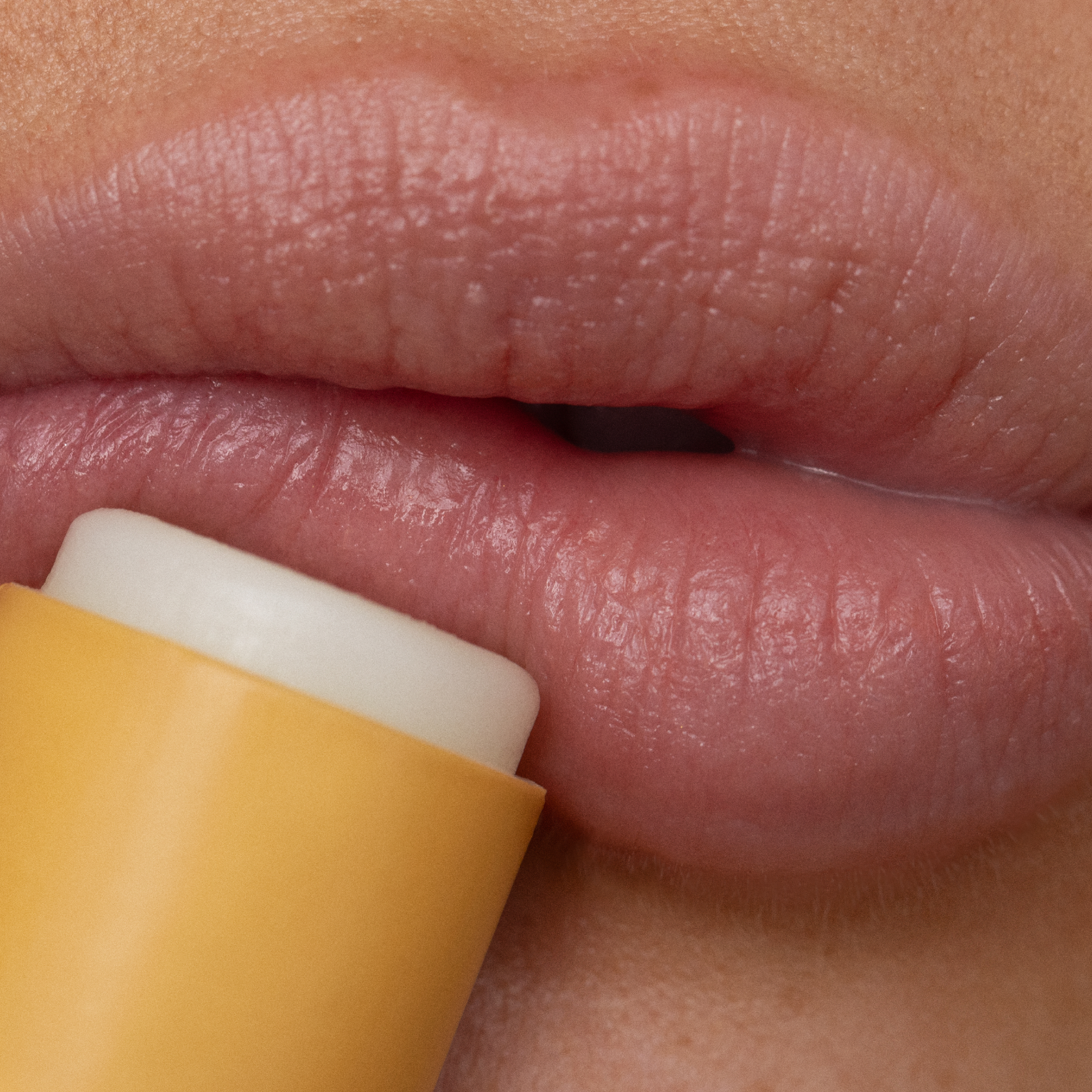 Lip Duo Lemon Bloom