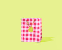 Gift Bags - Red + Pink Gingham - Assorted Sizes