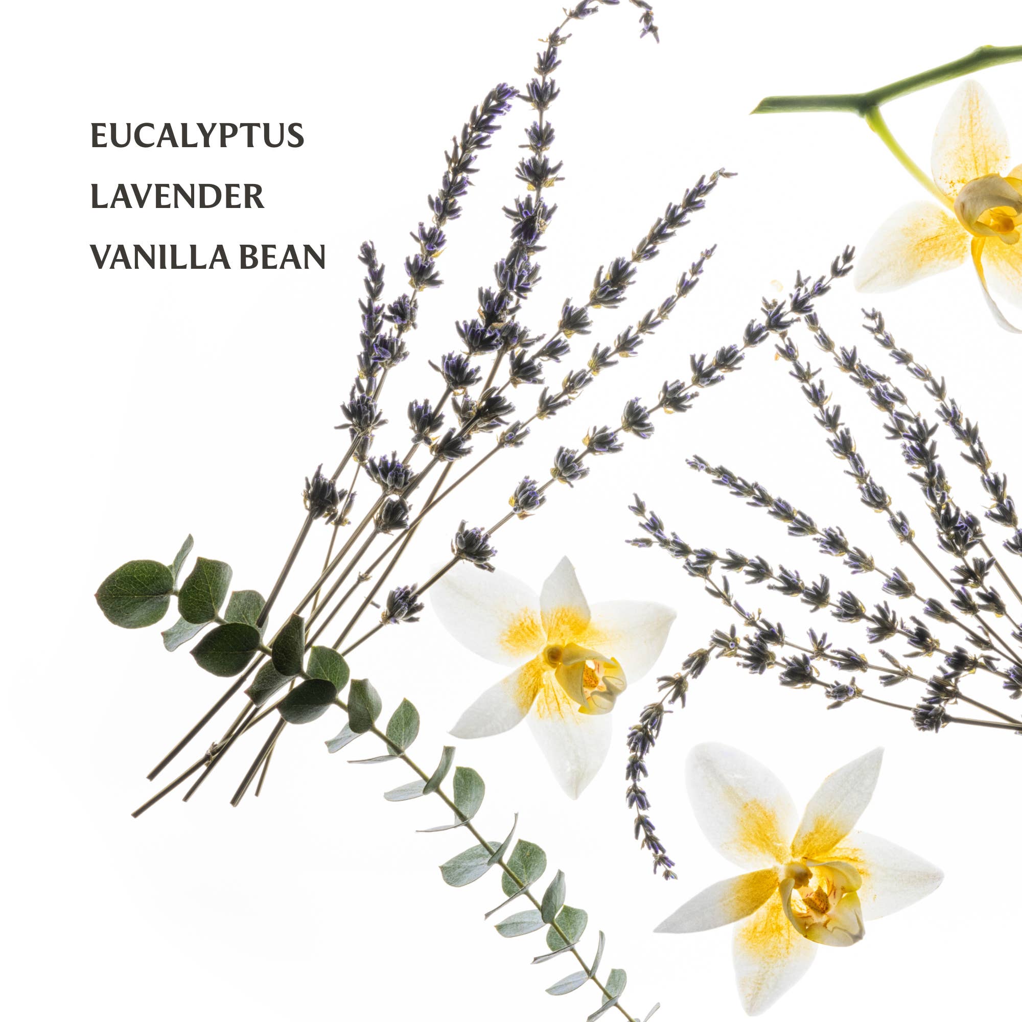 Pure Lavender Hand Sanitizer