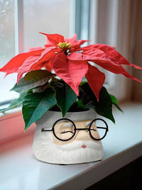 Small Santa Planter with Glasses