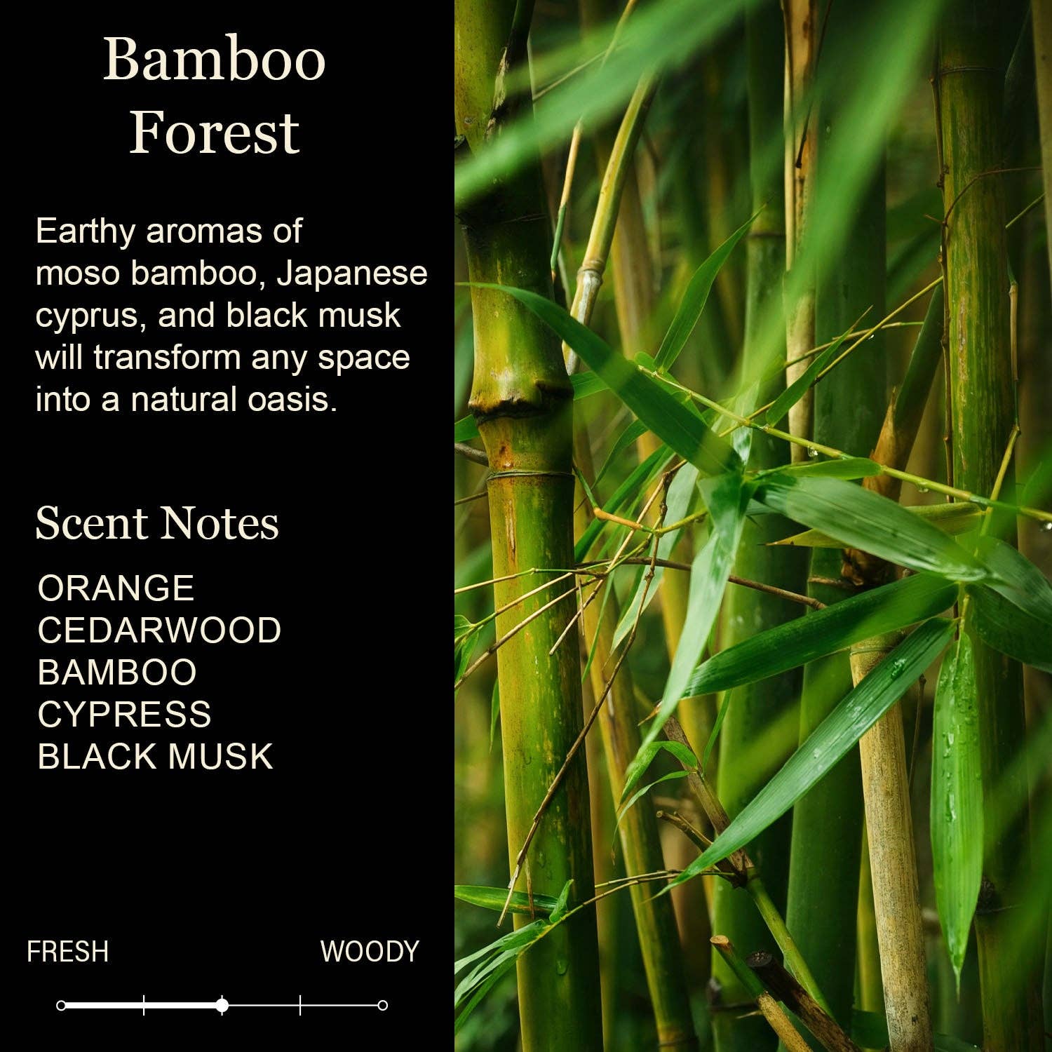 Happy Retirement Candle