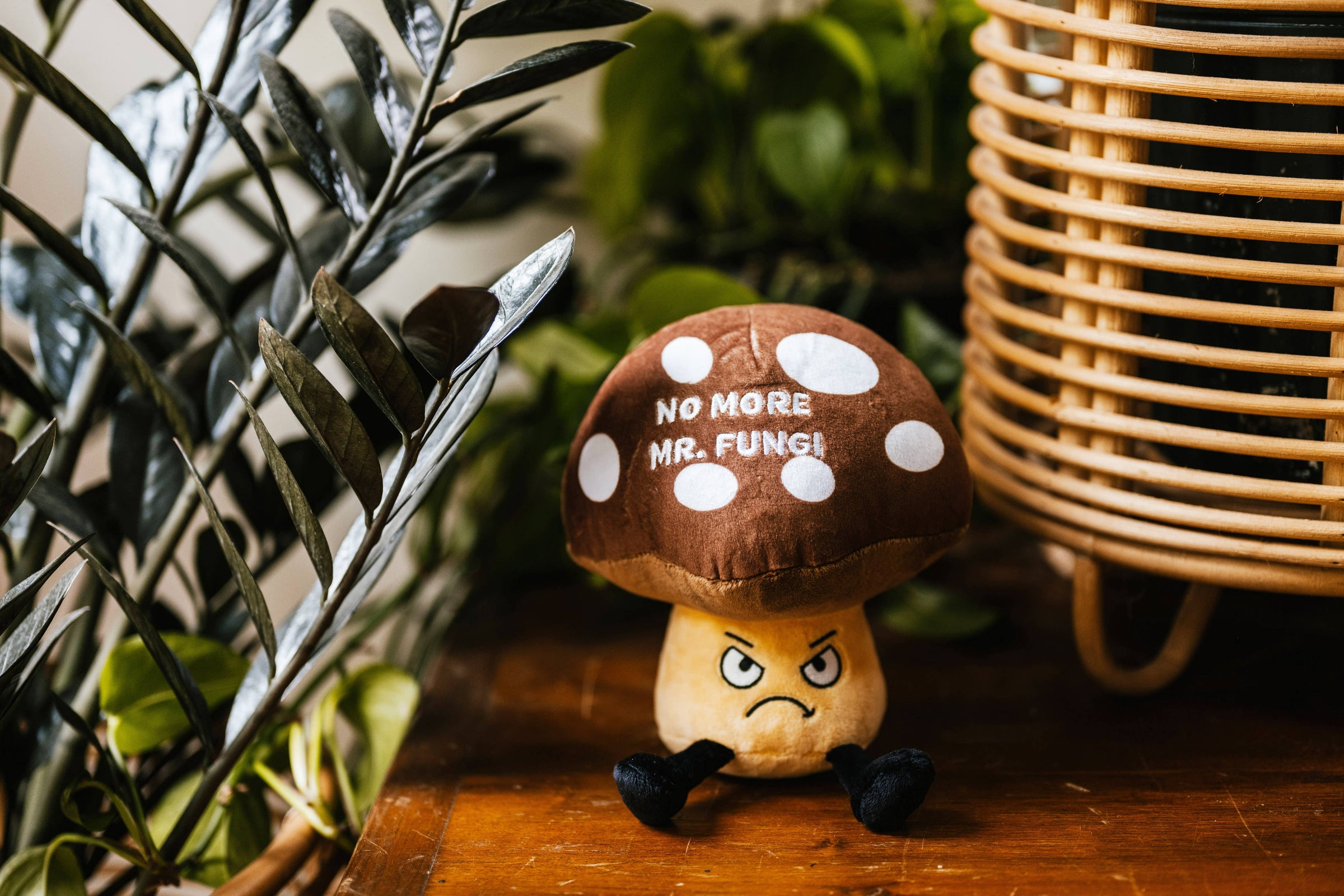 Mr. Fungi Plush