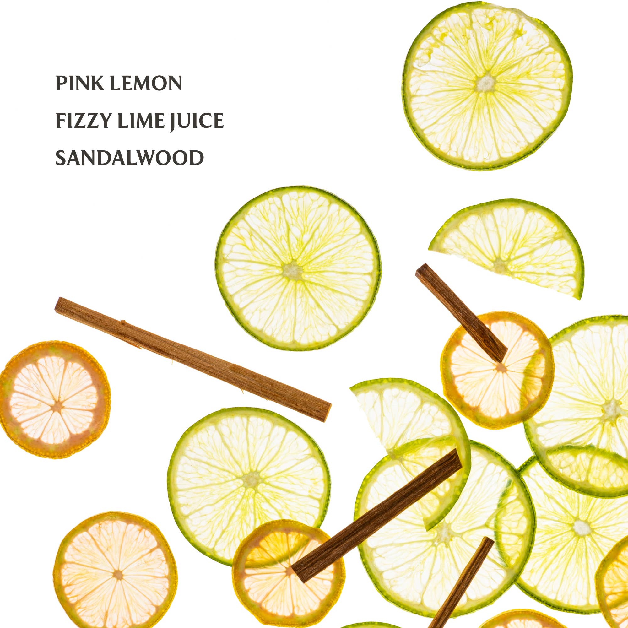 Lemon Lime Hand Sanitizer
