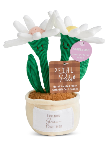 Scented Daisy Plush Flower