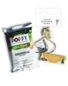 The "Home For The Holidays" Box