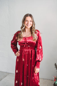 Holly Grace Velvet Dress