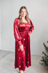 Holly Grace Velvet Dress