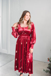 Holly Grace Velvet Dress