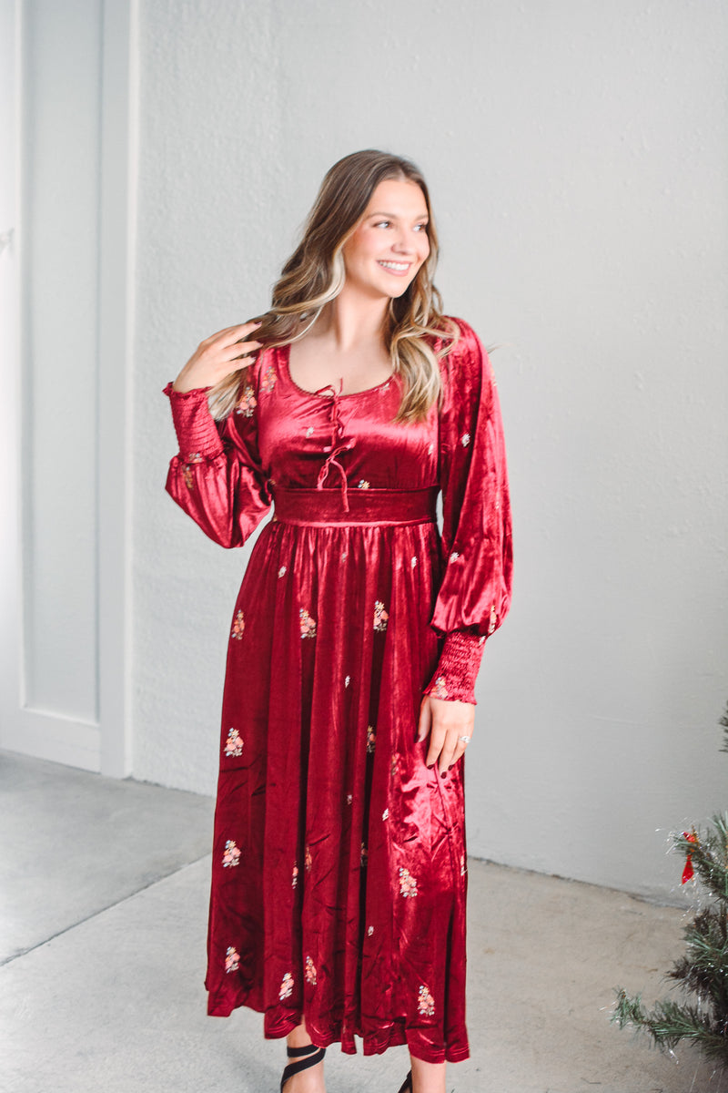 Holly Grace Velvet Dress