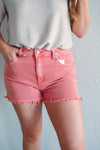 Saleh Shorts Pink