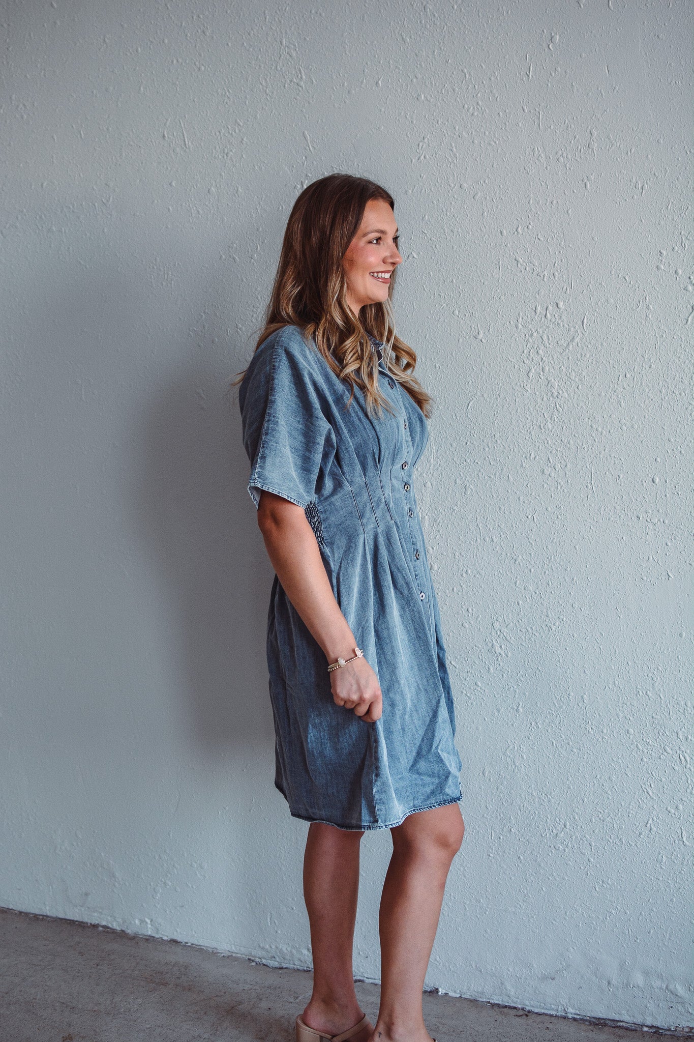 Dani Denim Dress