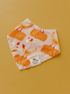 Chicken Bandana Bib