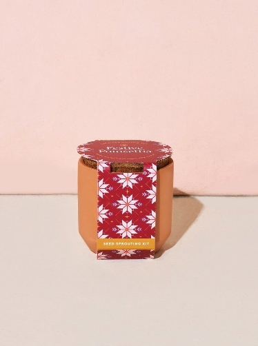 Festive Poinsettia Grow Kit