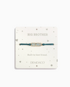 Big Brother Bear