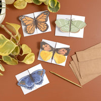 Butterfly Fold-Out Card Box Set