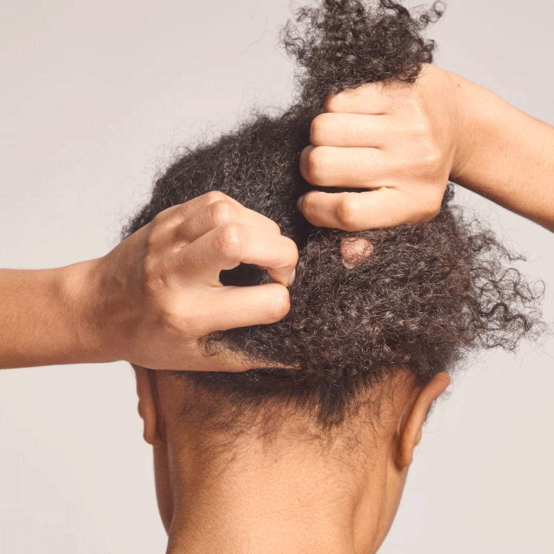 French Silver Hair Pin