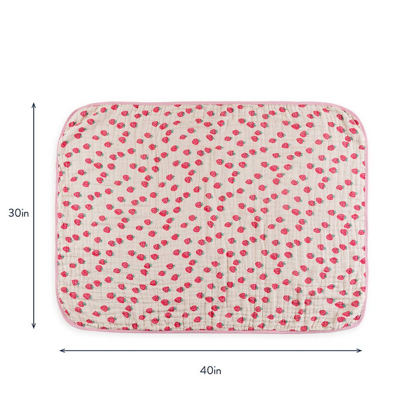 Strawberry Blanket