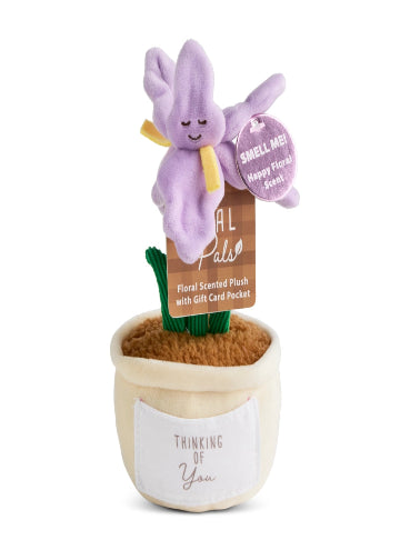 Scented Iris Plush Flower