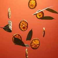 Orange Coriander Sanitizer Refill Pouch