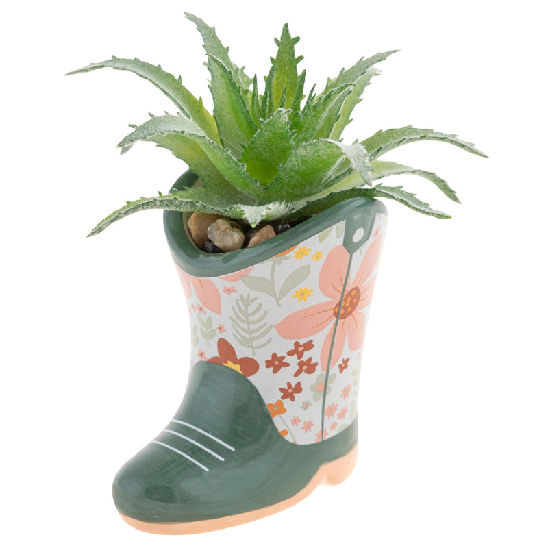 Boot Succulent