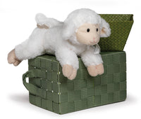Christening Melody Musical Lamb