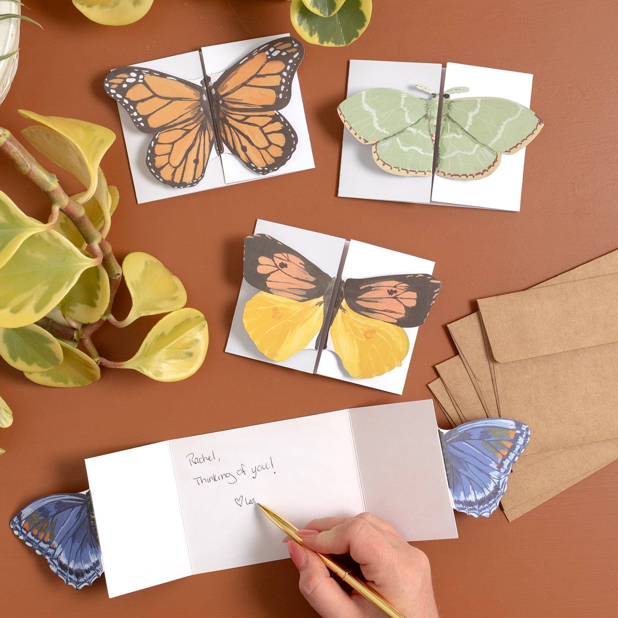 Butterfly Fold-Out Card Box Set