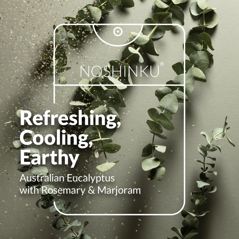 Eucalyptus Sanitizer Refill Pouch