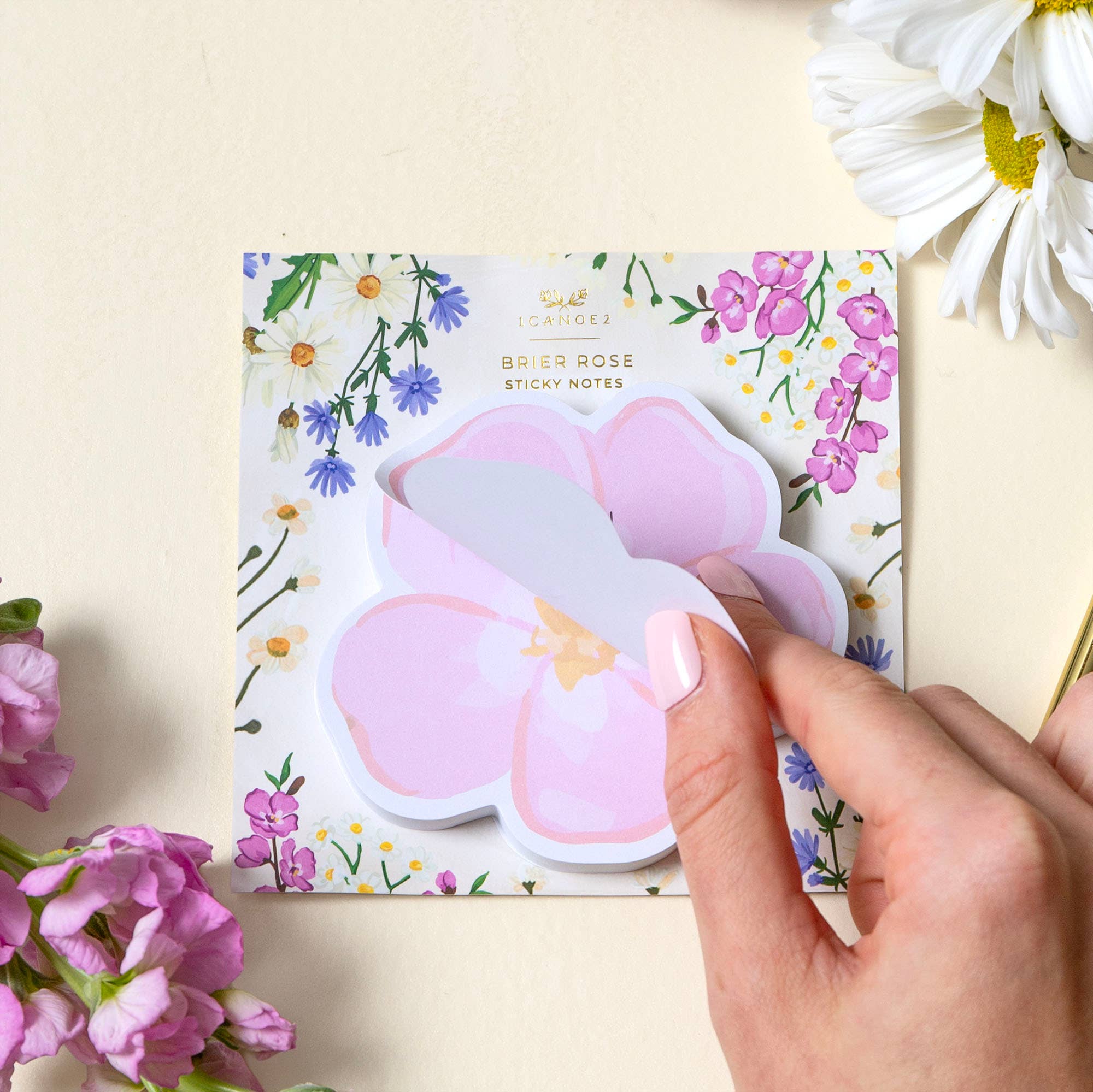 Brier Rose Sticky Notes