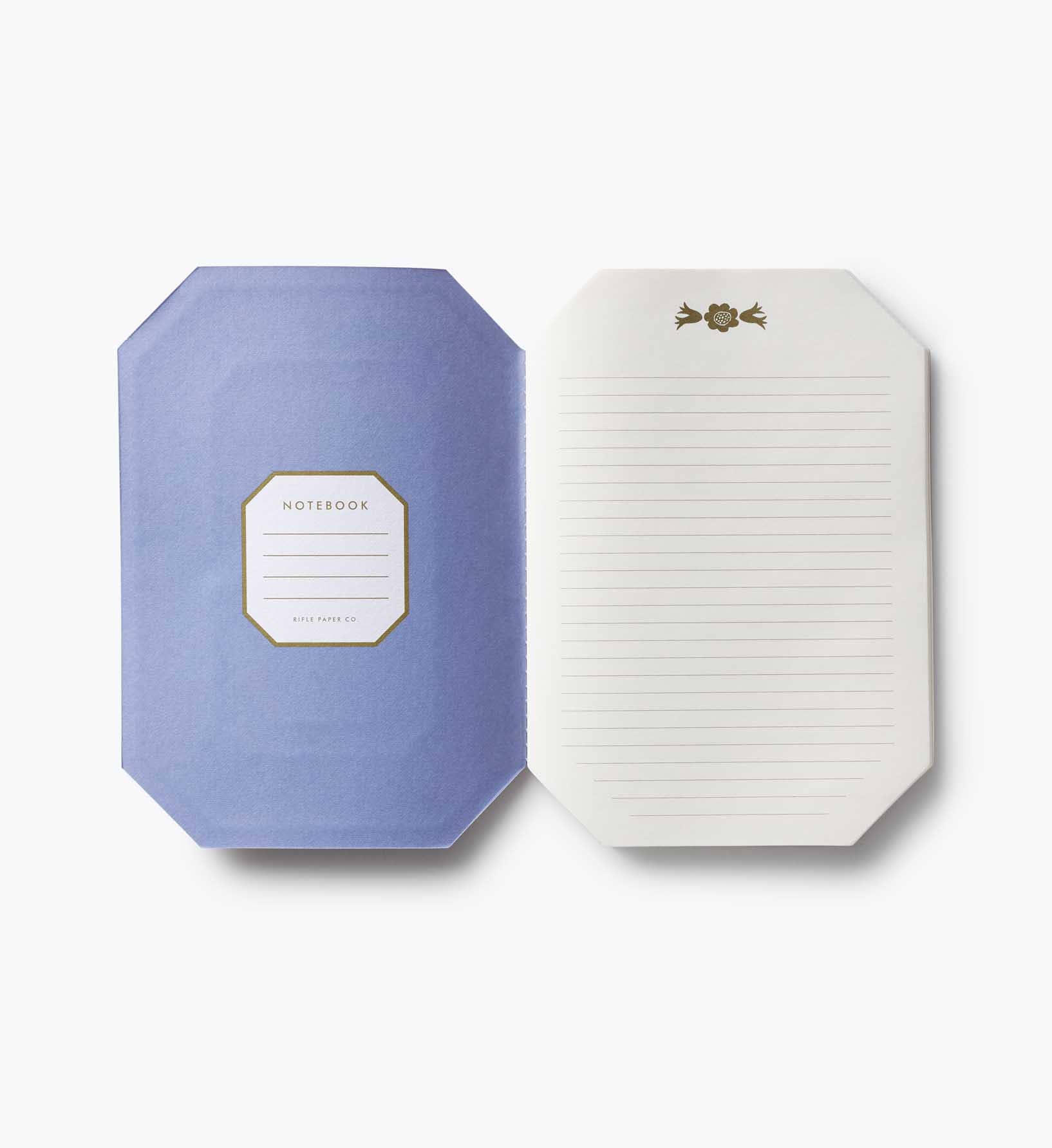 Assorted Gemma Notebooks