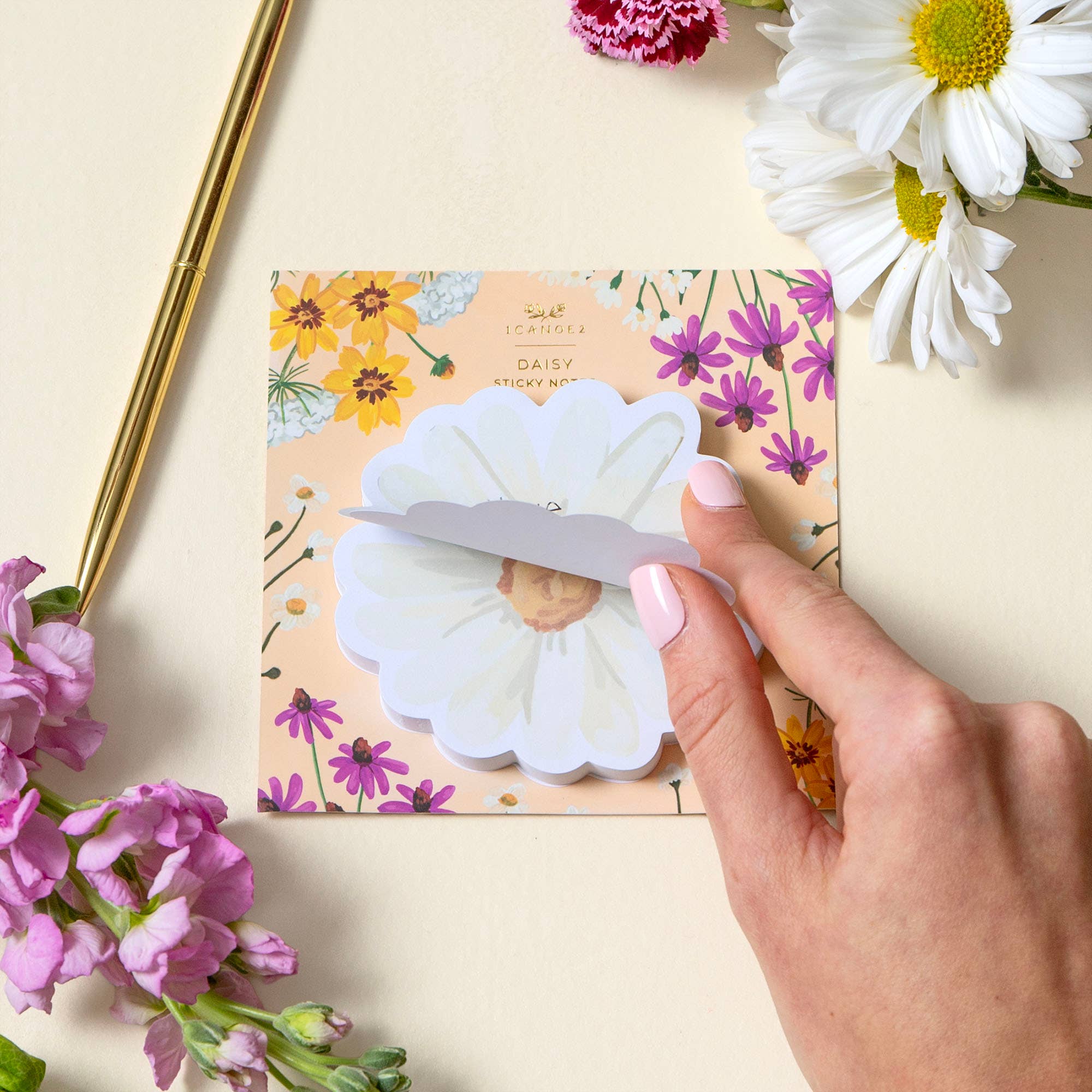 Daisy Sticky Notes