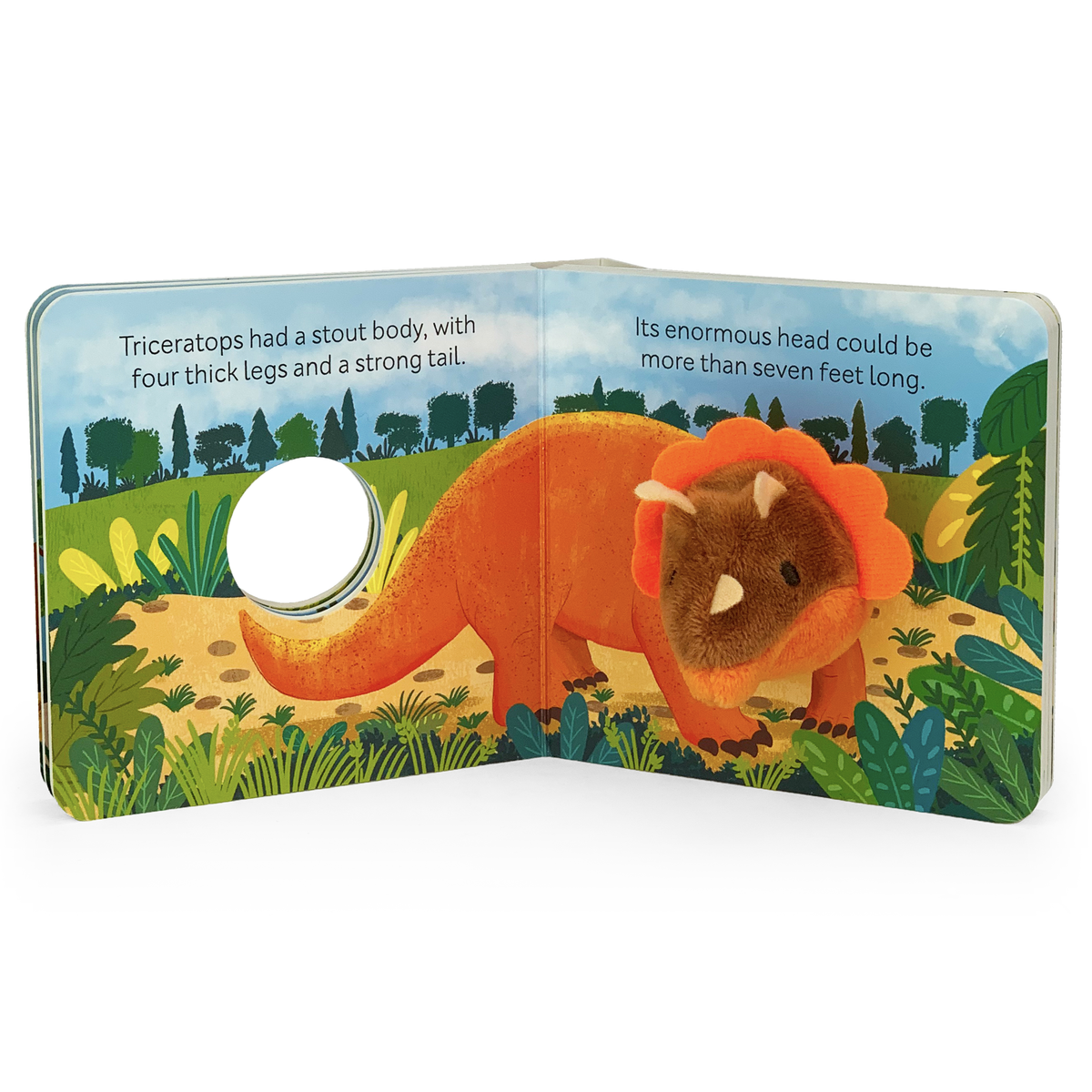 Triceratops Board Book
