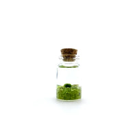 Moss Ball Kit