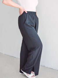 Businesswoman Pants