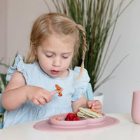 Blush Mini Feeding Set
