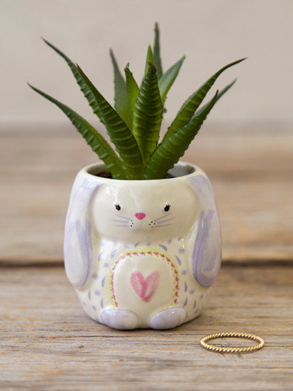 Natural Life Bunny Succulent