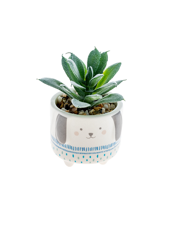 succulents dogs Dog Succulent – Rhinestones and Roses
