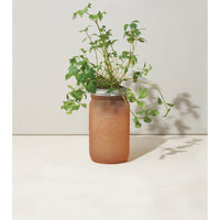 Garden Jar Parsley