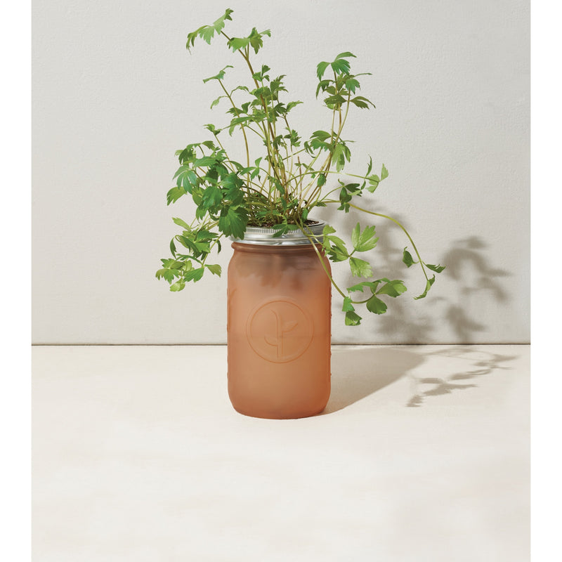 Garden Jar Parsley